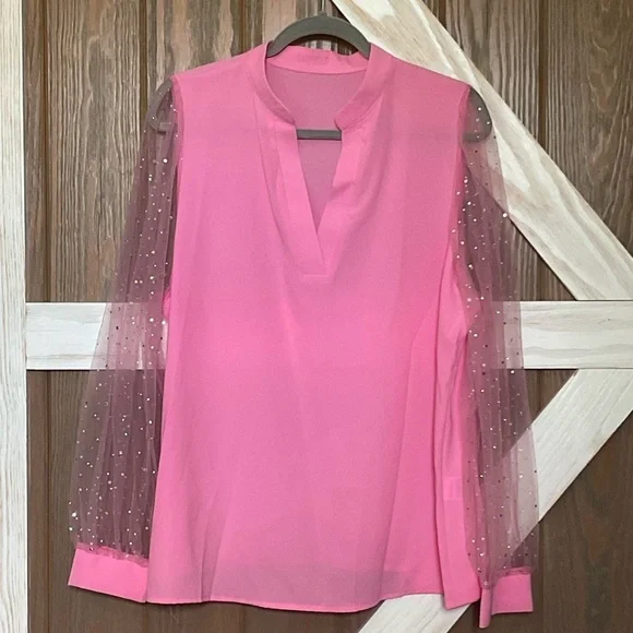 Elegant Pink OR Blue Blouse with Sheer Sparkly Sleeves. SIZES vary - Picture 3 of 9
